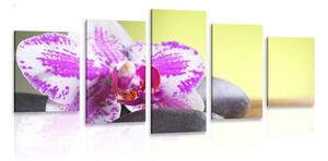 5-dielny obraz orchidea a čierne kamene