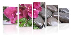5-dielny obraz kvitnúca orchidea a wellness kamene