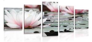 5-dielny obraz lotosový kvet
