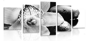 5-dielny obraz exotická orchidea v čiernobielom prevedení