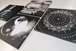 Set obrazov Feng Shui v čiernobielom prevedení