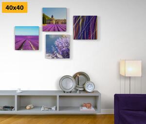 Set obrazov levanduľové pole s abstrakciou