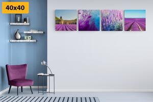 Set obrazov levanduľa s abstrakciou