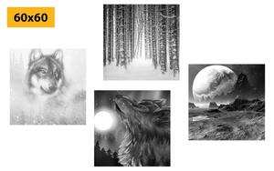 Set obrazov tajuplný vlk v čiernobielom prevedení