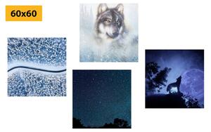 Set obrazov samotársky vlk