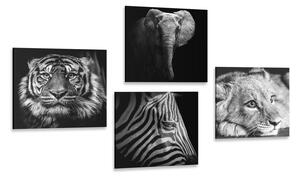 Set obrazov divoké zvieratá v čiernobielom prevedení