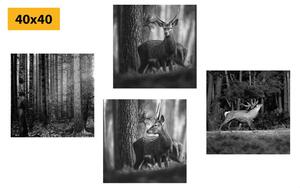 Set obrazov lesné zvieratá v čiernobielom prevedení
