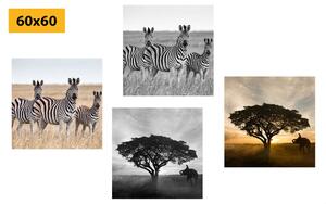Set obrazov zvieratá žijúce na Savane