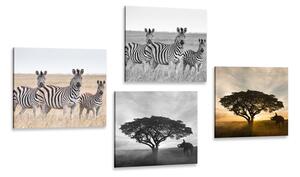 Set obrazov zvieratá žijúce na Savane