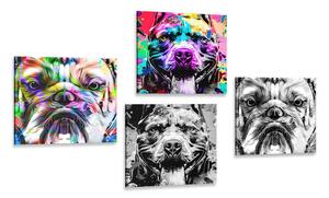 Set obrazov psy v pop art prevedení