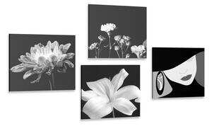 Set obrazov elegancia ženy a kvetov v čiernobielom prevedení
