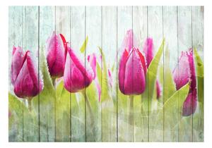 Fototapeta tulipány na dreve - Tulips on white wood