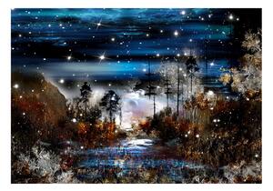 Fototapeta Nočný les - Night in the forest - 100x70