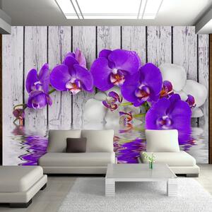Fototapeta Modrá, biela orchidea na drevenom podklade - Dormant instincts