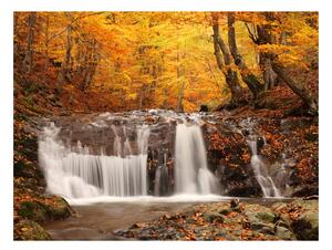 Fototapeta vodopád v lese - Autumn landscape