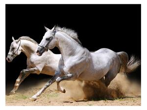 Fototapeta Cválajúce kone v piesku - Galloping horses on the sand