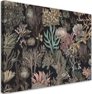 Obraz na plátne Nádherné morské koraly Rozmery: 60 x 40 cm