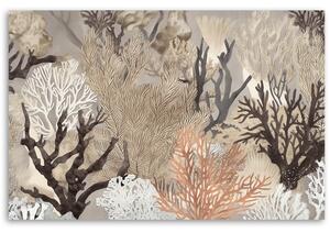 Obraz na plátne Podmorské koraly Rozmery: 60 x 40 cm