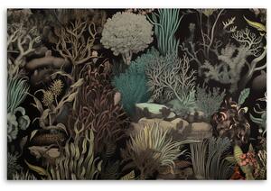 Obraz na plátne Koraly v mori Rozmery: 60 x 40 cm