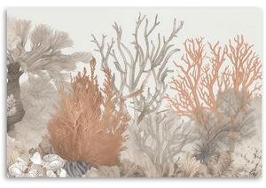 Obraz na plátne Krásne koraly v mori Rozmery: 60 x 40 cm