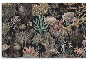 Obraz na plátne Nádherné morské koraly Rozmery: 60 x 40 cm