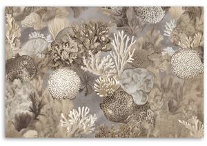 Obraz na plátne Morské živočíchy a koraly Rozmery: 60 x 40 cm