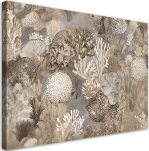 Obraz na plátne Morské živočíchy a koraly Rozmery: 60 x 40 cm