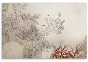 Obraz na plátne Podmorské rastliny a ryby Rozmery: 60 x 40 cm