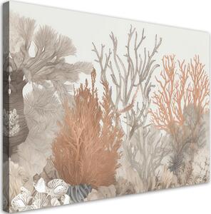 Obraz na plátne Krásne koraly v mori Rozmery: 60 x 40 cm