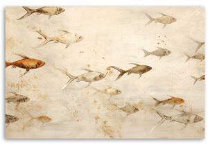 Obraz na plátne Ryby v mori Rozmery: 60 x 40 cm