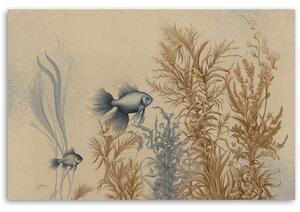 Obraz na plátne Ryby a morské rastliny Rozmery: 60 x 40 cm