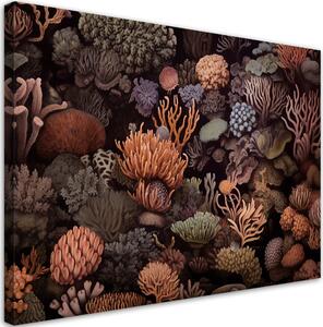Obraz na plátne Krásne podmorské koraly Rozmery: 60 x 40 cm