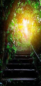 Fototapeta na dvere s motívom schodov v mestskej džungli