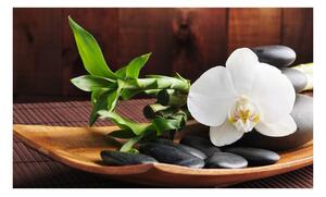 Fototapeta Biela orchidea - Temple zen