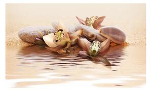 Fototapeta ľalia na vode - Water lily