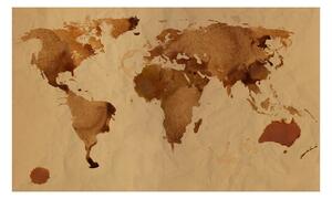Fototapeta mapa sveta v hnedom prevedení - Tea map of the World