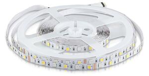 V-TAC RGB+W LED pás do interiéru 5050 60 SMD/m 5m bal., RGB+Studená biela