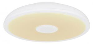 Globo 41366W