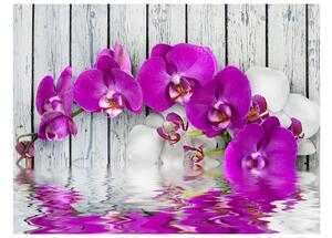 Fototapeta fialová orchidea - Violet orchids with water reflexion