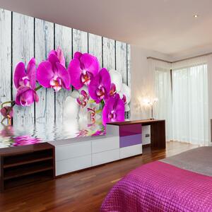 Fototapeta fialová orchidea - Violet orchids with water reflexion