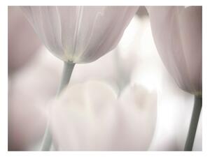 Fototapeta maľované tulipány - Tulips fine art