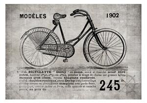 Fototapeta retro bicykel - Bicycle - 100x70