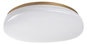 Rabalux 75053 - LED kúpeľňové stropné svietidlo CALIOPE LED/24W/230V IP44 pr. 41 cm