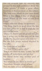 Fototapeta príbeh malého princa - The Little Prince: Spiritual Journey