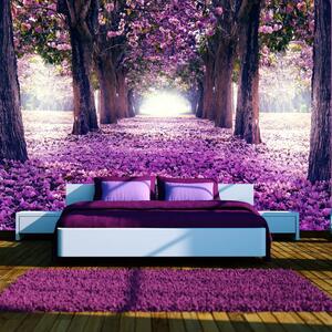 Samolepiaca tapeta fialová kvetinová cesta - Flower road
