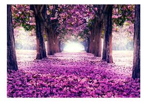 Samolepiaca tapeta fialová kvetinová cesta - Flower road