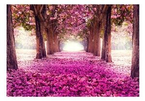 Samolepiaca tapeta ružový park - Pink path
