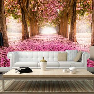 Samolepiaca tapeta ružová alej - Pink grove