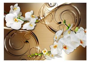 Samolepiaca tapeta rozkvitnutá orchidea - Forbearance