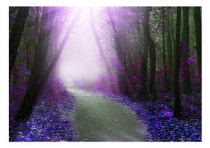 Samolepiaca tapeta fialový les - Purple path